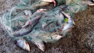 ��������� ����� ���������� �� ������������ 5 �������� ������