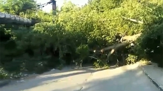 На улице Украинской упавшее дерево перегородило дорогу