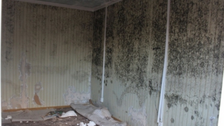 � �������� ���-�������� ������� �� ���� � ������������ ����������� ������