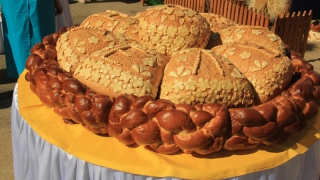 Министр объяснила лидерство Саратовской области по качеству хлеба
