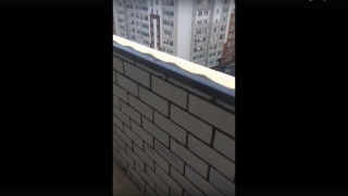 ��������� ������� ���������� ��������� ������ �� �������