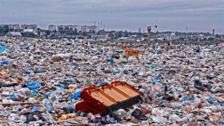 Радаев поручил зампредам и министру проверить все мусорные полигоны Радаев поручил зампредам и министру проверить все мусорные полигоны