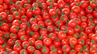 � ������ �� ������� 150 �� ������� ��� ����������