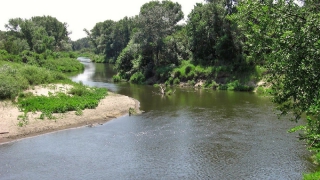 В Саратовском районе частнику незаконно отдали приток реки Латрык