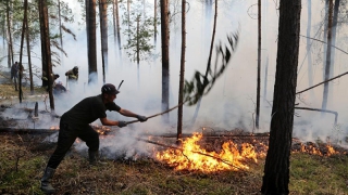 В Саратове ввели особый противопожарный режим В Саратове ввели особый противопожарный режим
