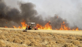 В Саратовской области огонь уничтожил на трех полях 55 га сельскохозяйственных культур