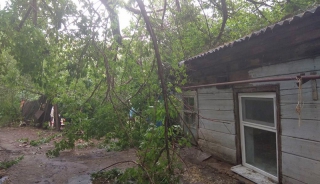 В центре Саратова от удара молнии дерево упало на дом