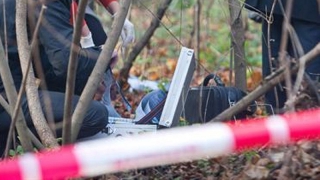 В Саратове возле Парка Победы нашли обглоданное тело мужчины