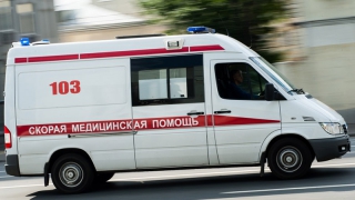 Саратовец выпал с балкона на 4 этаже и поговорил с веткой Саратовец выпал с балкона на 4 этаже и поговорил с веткой