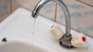 � ��������� ������ �� �������� �� ����� ���� � 40 �����