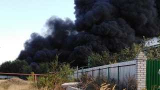 ��� ��������� ����� ����� ������ �� ������� 1000 ���������� ������