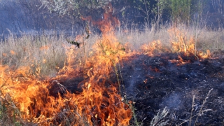 В Саратовской области за день сгорело еще 5 гектаров травы