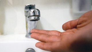 ������ ���� ������� �������� �� �������� ��������� ��� ����