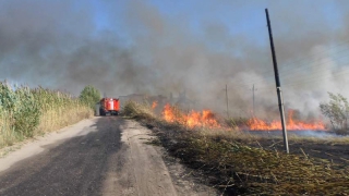 ������� ������������ ������ �������� ����� ������� ����