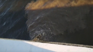 � �������� �� ������ ����� �����������, ������������� �������� ������ �����