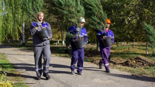 Депутат организовал экологическую акцию в Александровом Гае Депутат организовал экологическую акцию в Александровом Гае