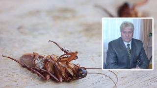 Директору интерната объявили выговор за тараканов и пожарную опасность