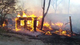 � ������� ������ �����: ��� �������� �������, 29 ������������