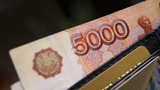 ���� ����������� ���������� ��������� �� �������������� � �������� 5 ����� ������