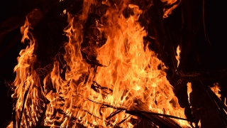 На пепелище дома в селе Усатово нашли труп женщины