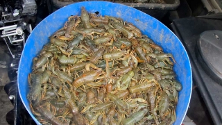 �� ������ ���� ����� ����� ������ ��������� � ������