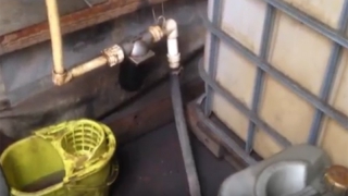 ���������� ����� ������ ��������� ������� �� 2,5 ��� ������