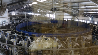 ��������� ����� ������� ����������� ���� ����������� ������ �� ������������