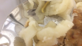 В саратовской детской больнице пожаловались на червей в слипшихся макаронах