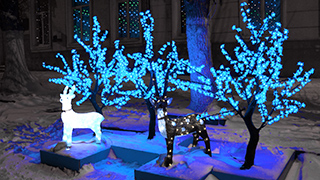 � ������� � ����������� ������� �������� ����������� �����