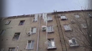 ��������� ���� �� ����� ������������ �������� �� ����� ����