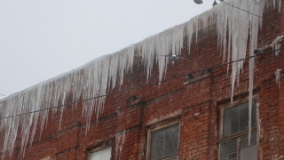 ����������� �� ������ ������� ���� ������ ������ �������������� ������