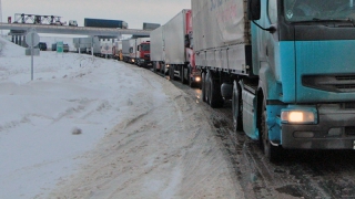 � ����������� ������� 50 �� ����������� ������ ������� ��� ����������