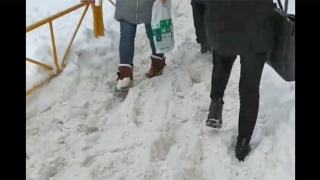 �� ������� ����� ���������� � ������� ���� ���������� �� ������� ����