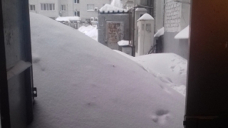 �� ��������� ����������� ������������� �������� ������ ���� � 5-������