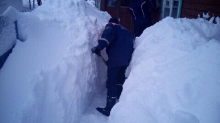 � ������� ����������� ��������� ���� �� ����� ����� �� ���� ��-�� ��������