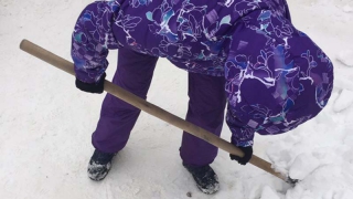 Очевидец: В Саратове учителя школы вновь убирают снег