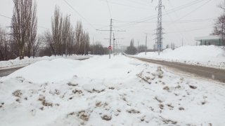 Саратовцы возмущены многодневным отсутствием трамвая №5 после снегопада Саратовцы возмущены многодневным отсутствием трамвая №5 после снегопада