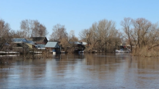 В Саратовской области на борьбу с паводком подготовили 300 млн рублей