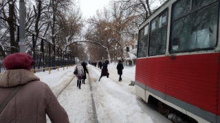 Водитель «Вольво» перекрыл проезд трамваям на Слонова и не выходит на связь Водитель «Вольво» перекрыл проезд трамваям на Слонова и не выходит на связь