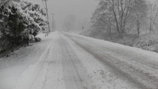 � ����������� ������� ����������� �� ���� ��-�� ������ �������� 11 ���������� �������