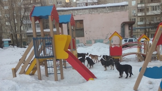 � �������� ����� 15 ����� ������������ ������� �������� � ������ �������