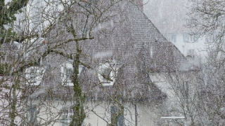 � �������� ������ ���� �� ������ ��������� �� ����� ��-�� ������