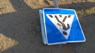 ����� ���������������� ������� ������� ���� �������