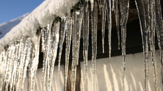 � ��������� ������ � �� �������� ����� �� ������� �� ������ ������