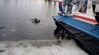 ��������� �������� �� ����� ���� ���������� �������