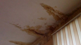 � �������� ���������� � ����������� �������� � ����������� ��������