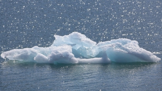 ���� ���������� � ������� �������� ������� ����� �� ������ � �����-����������