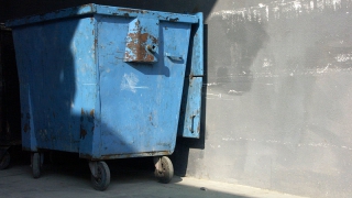 В Ленинском районе вор массово похищал мусорные баки и сдавал на металл В Ленинском районе вор массово похищал мусорные баки и сдавал на металл