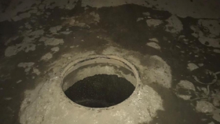 �� ������������ ������ ������ ����������������� ��-�� ������ �� �������� ���