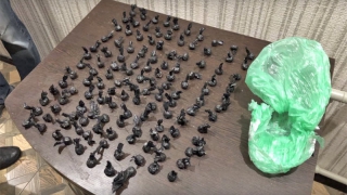 � �������� � ���� ������������ ������ 1,5 ���������� �������